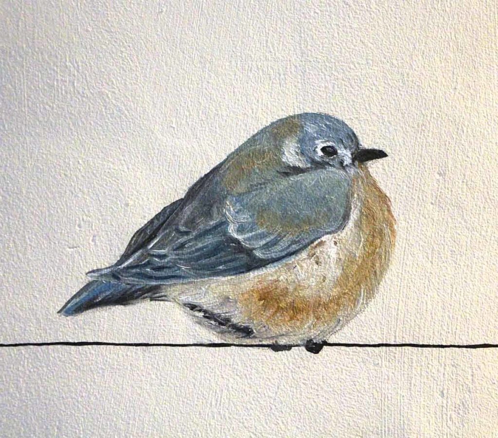 Charlotte Parini Illustration Décoration