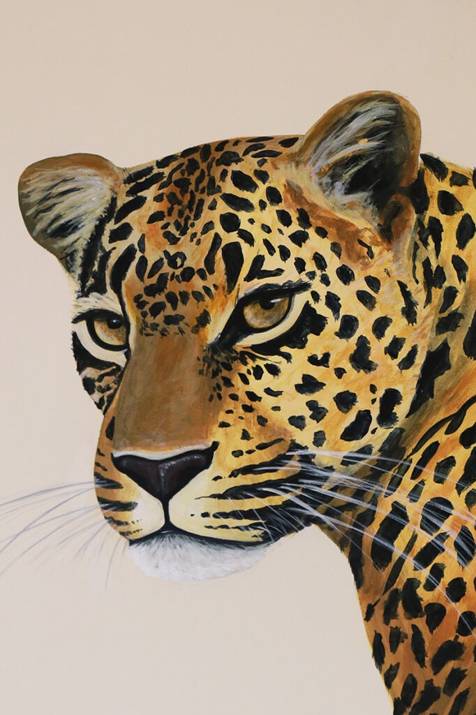 Charlotte Parini Illustration animalier Création d'ambiance