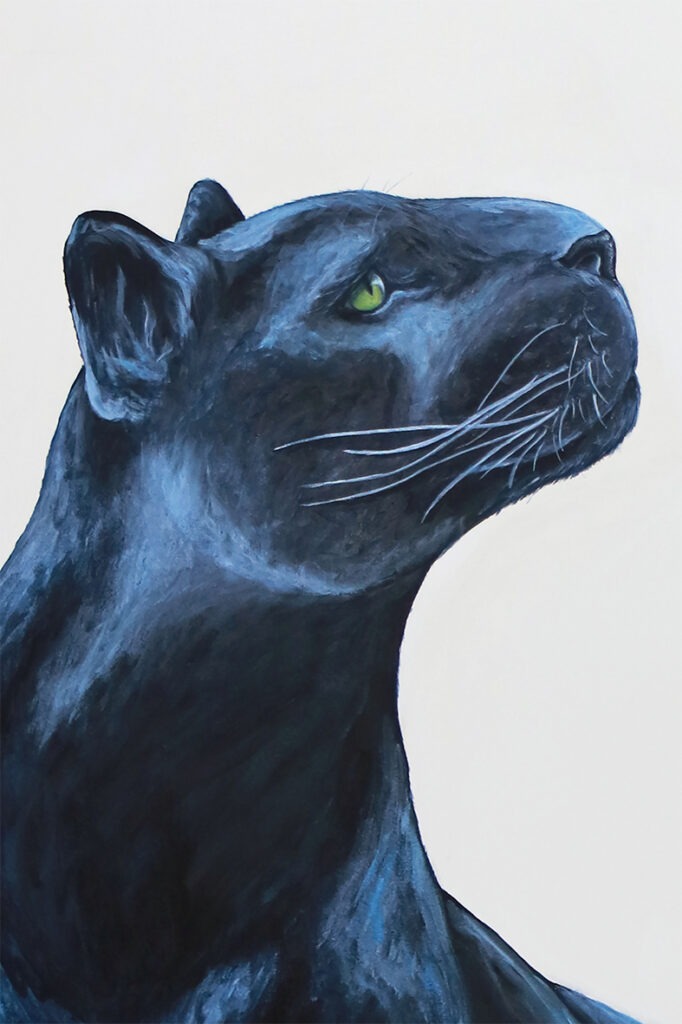 Charlotte Parini Illustration animalier Création d'ambiance