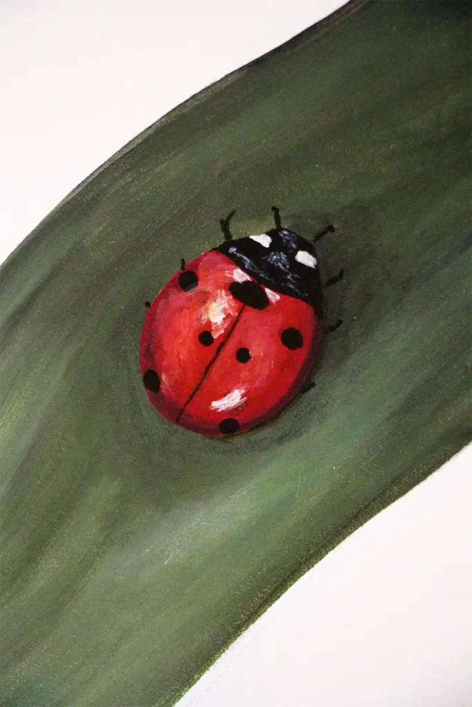 Parini Illustration Parini Illustration coccinelle animalier