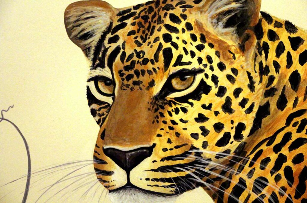 Charlotte Parini Illustration animalier Création d'ambiance